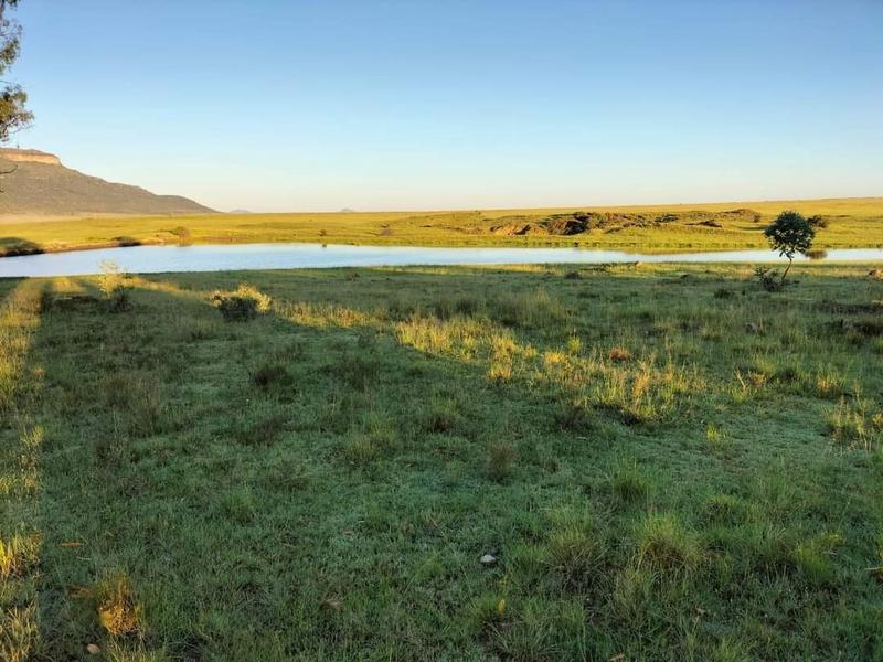 0 Bedroom Property for Sale in Ladybrand Free State